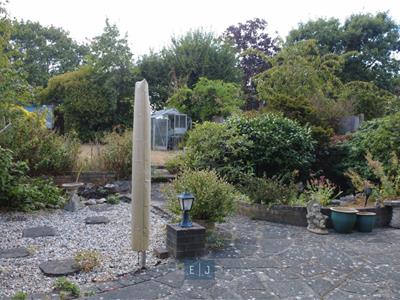 Picture 24
